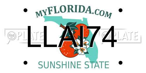 LLAI74 Florida License Plate