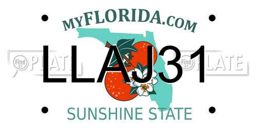 LLAJ31 Florida License Plate