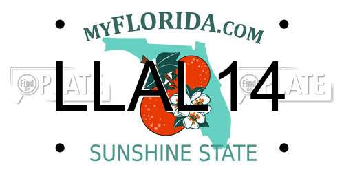LLAL14 Florida License Plate