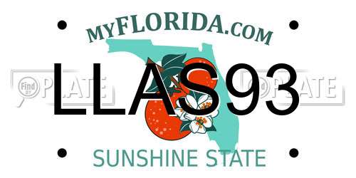 LLAS93 Florida License Plate