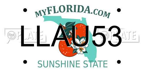 LLAU53 Florida License Plate
