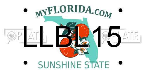 LLBL15 Florida License Plate