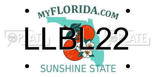 LLBL22 Florida License Plate