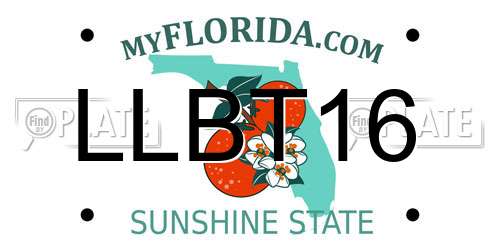 LLBT16 Florida License Plate