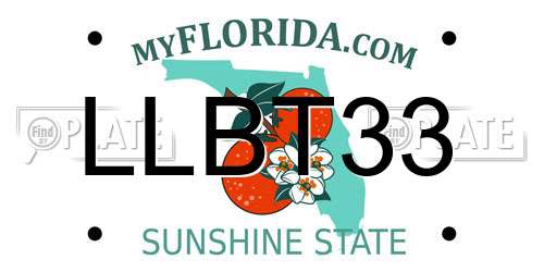 LLBT33 Florida License Plate