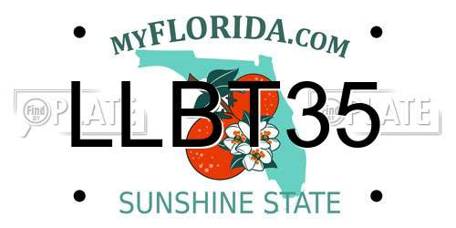 LLBT35 Florida License Plate