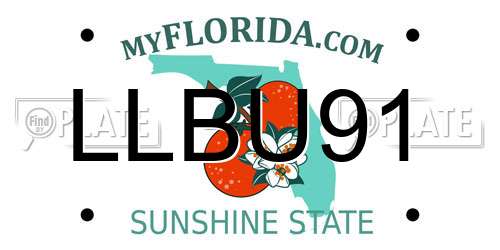 LLBU91 Florida License Plate