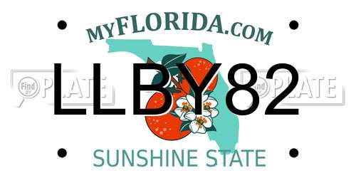 LLBY82 Florida License Plate