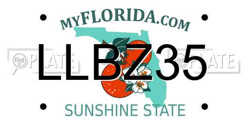 LLBZ35 Florida License Plate
