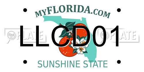 LLCD01 Florida License Plate
