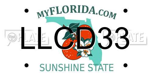 LLCD33 Florida License Plate