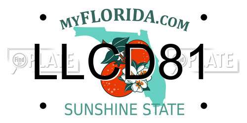 LLCD81 Florida License Plate