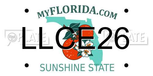 LLCE26 Florida License Plate