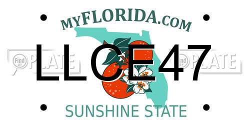 LLCE47 Florida License Plate
