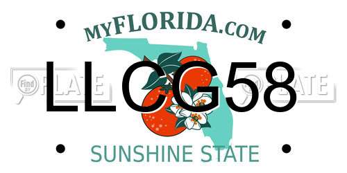 LLCG58 Florida License Plate