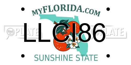 LLCI86 Florida License Plate