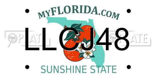 LLCJ48 Florida License Plate