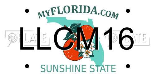 LLCM16 Florida License Plate