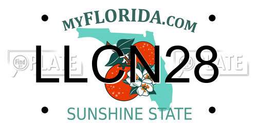 LLCN28 Florida License Plate