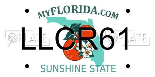 LLCR61 Florida License Plate