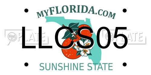 LLCS05 Florida License Plate