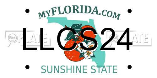LLCS24 Florida License Plate
