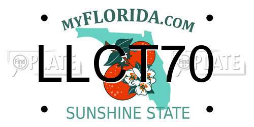 LLCT70 Florida License Plate