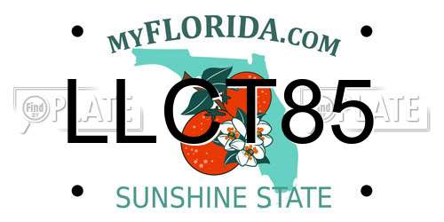 LLCT85 Florida License Plate