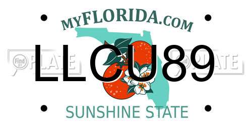 LLCU89 Florida License Plate