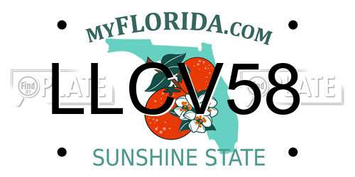 LLCV58 Florida License Plate