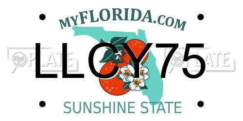 LLCY75 Florida License Plate