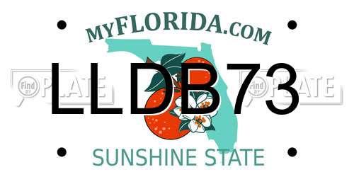 LLDB73 Florida License Plate