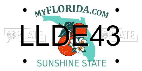 LLDE43 Florida License Plate