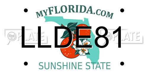 LLDE81 Florida License Plate