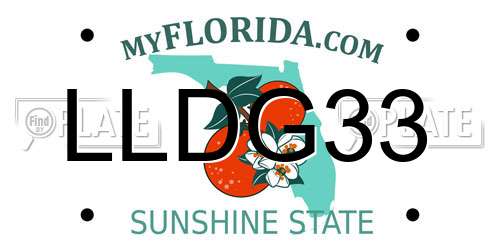 LLDG33 Florida License Plate