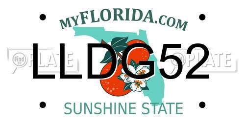 LLDG52 Florida License Plate