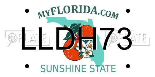 LLDH73 Florida License Plate
