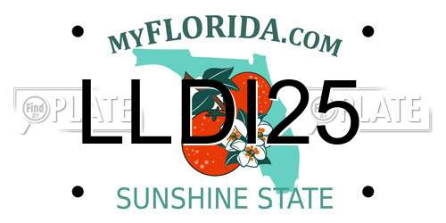 LLDI25 Florida License Plate
