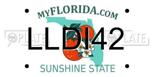 LLDI42 Florida License Plate