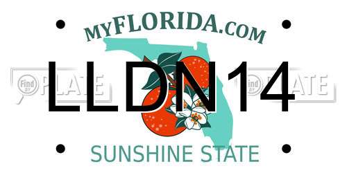 LLDN14 Florida License Plate