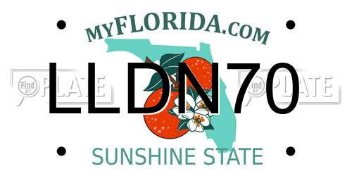 LLDN70 Florida License Plate