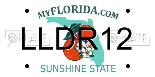 LLDR12 Florida License Plate