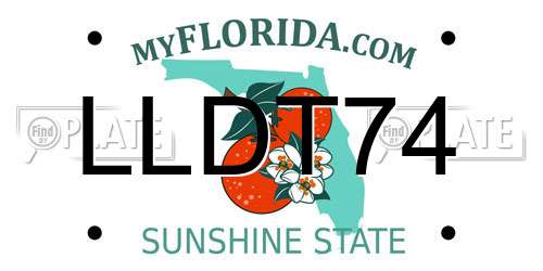 LLDT74 Florida License Plate