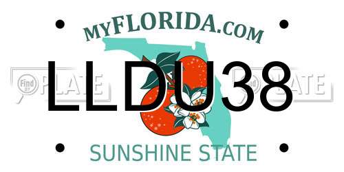 LLDU38 Florida License Plate
