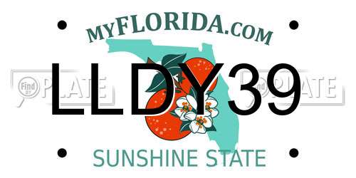 LLDY39 Florida License Plate
