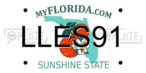 LLES91 Florida License Plate