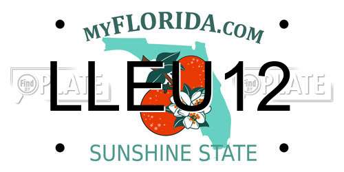 LLEU12 Florida License Plate