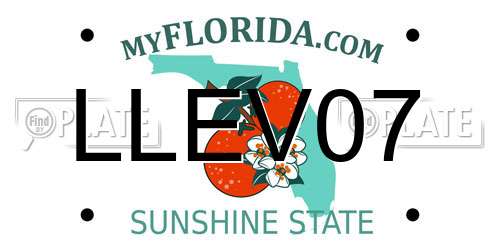 LLEV07 Florida License Plate