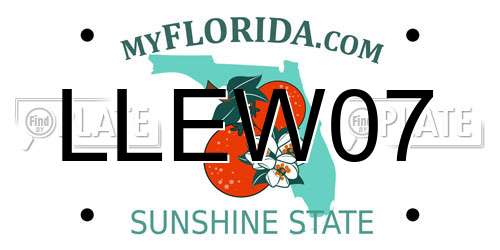 LLEW07 Florida License Plate