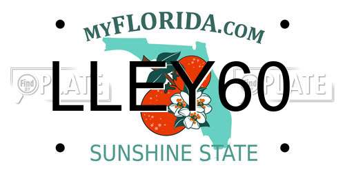 LLEY60 Florida License Plate